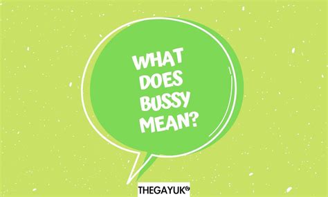 what does bussy mean